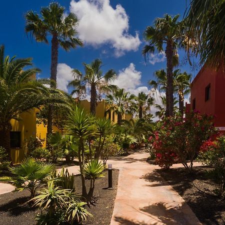 Апартаменты Oasis Vistamar Коральео Экстерьер фото