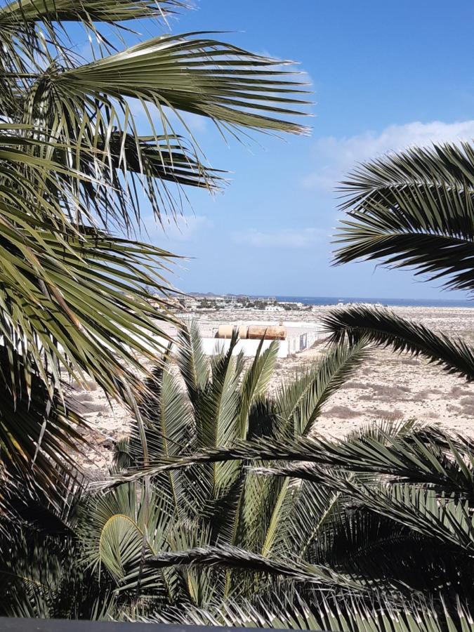 Апартаменты Oasis Vistamar Коральео Экстерьер фото