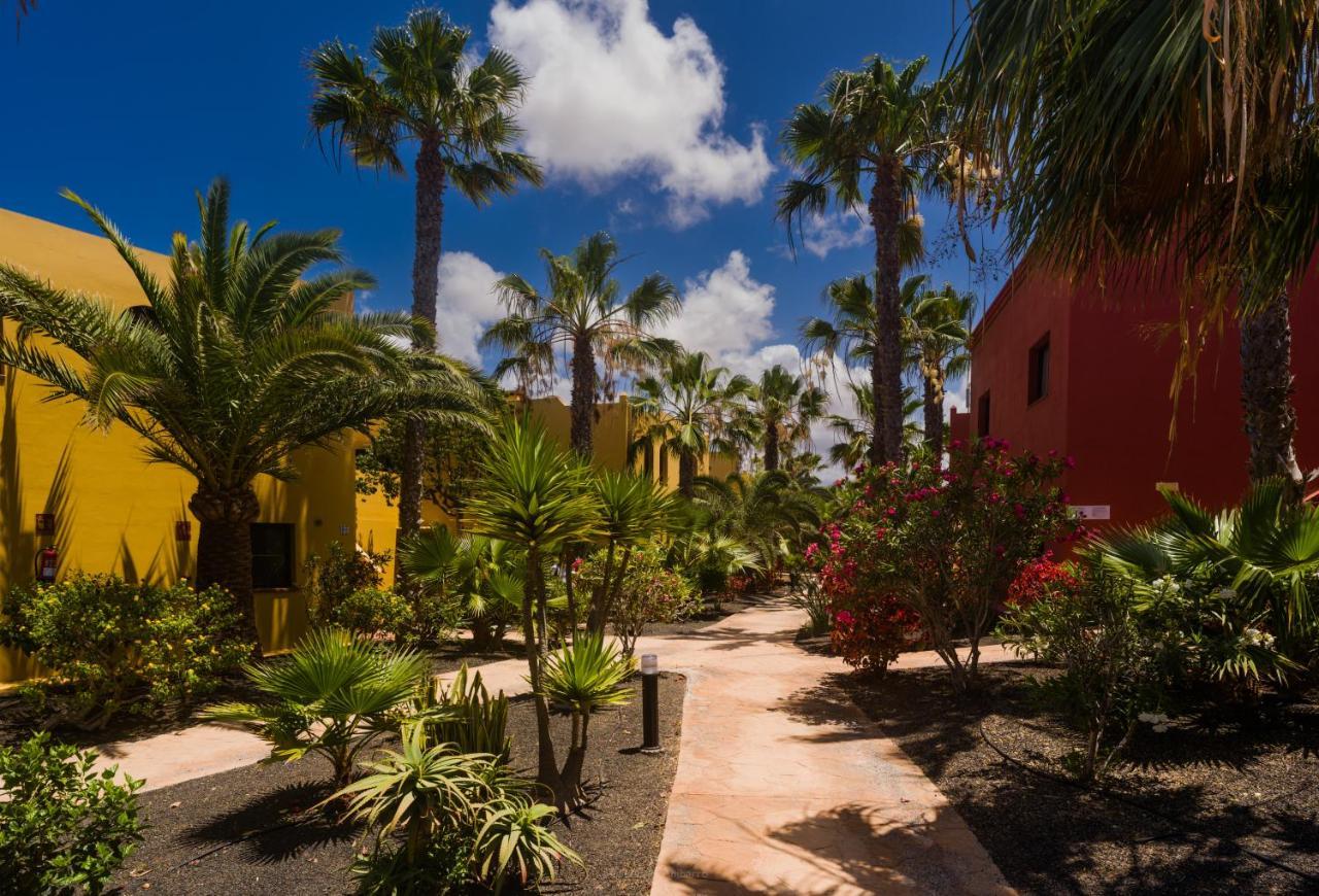 Апартаменты Oasis Vistamar Коральео Экстерьер фото